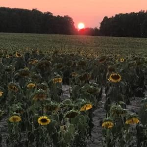 Meet your Posher, Shelly